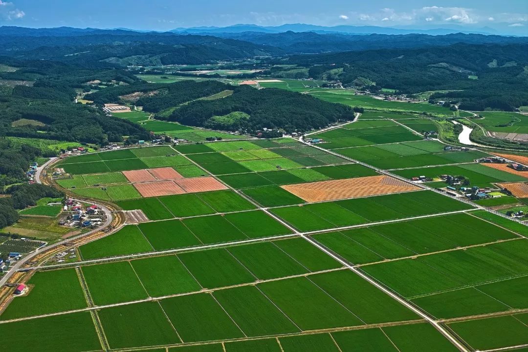 中國土地利用質(zhì)量顯著提升，助力經(jīng)濟高質(zhì)量發(fā)展