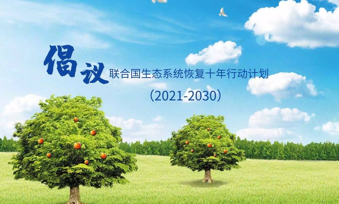 人居要聞|聯(lián)合國發(fā)布“2021-2030年生態(tài)系統(tǒng)修復(fù)十年”計劃倡議