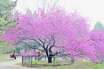 人居要聞|國家植物園，不只是看起來很美